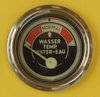 Fernthermometer (120113)